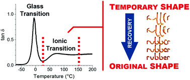 You are currently viewing The shape-memory effect in ionic elastomers: fixation through ionic interactions