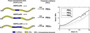 Read more about the article Poly(ε-caprolactone) Diols (HOPCLOH) and Their Poly(ester-urethanes) (PEUs): The Effect of Linear Aliphatic Diols [HO–(CH2)m–OH] as Initiators