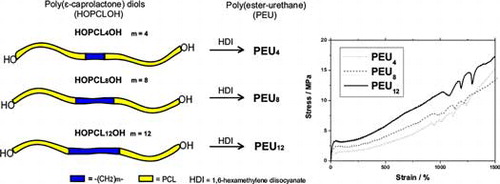 Read more about the article Poly(ε-caprolactone) Diols (HOPCLOH) and Their Poly(ester-urethanes) (PEUs): The Effect of Linear Aliphatic Diols [HO–(CH2)m–OH] as Initiators